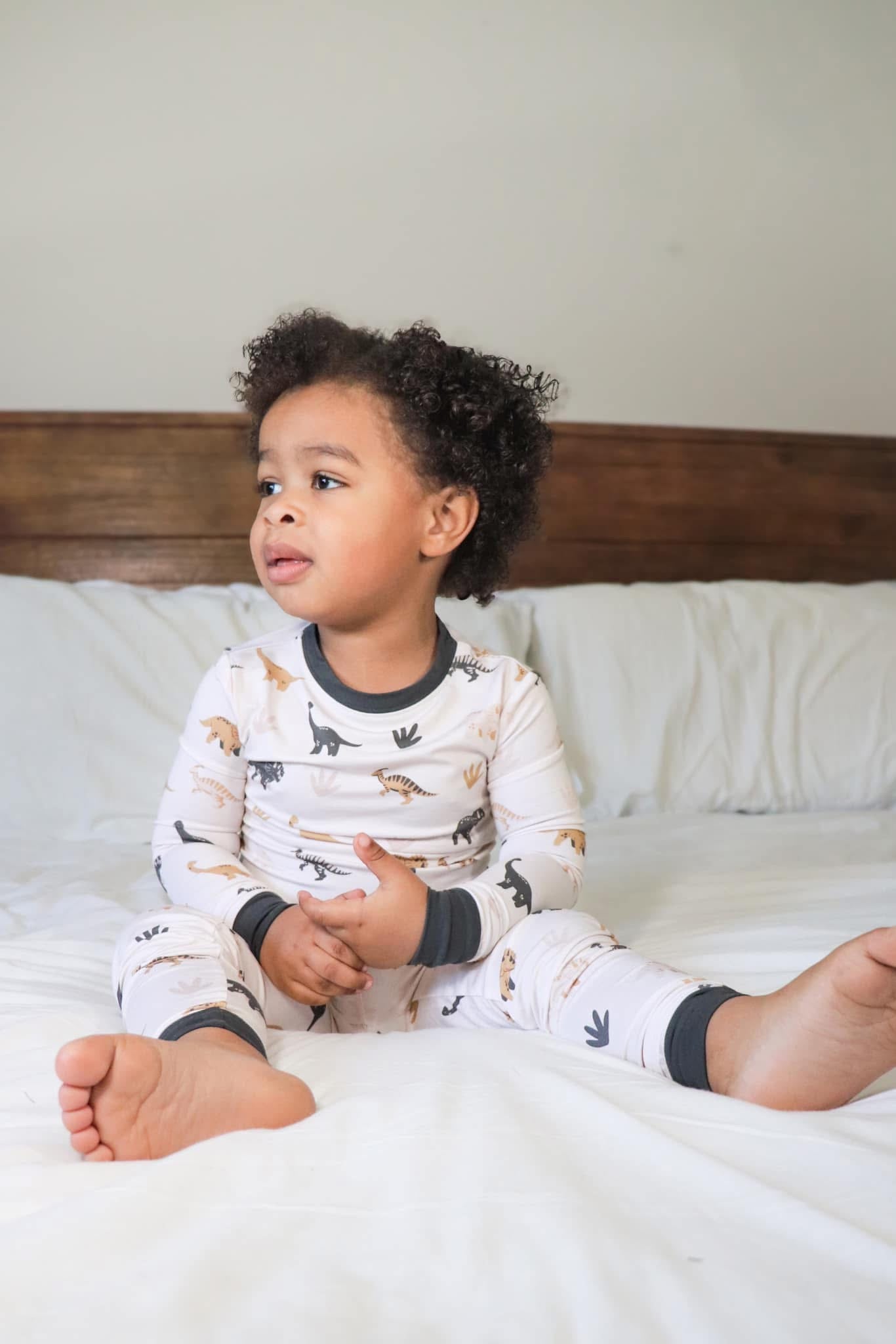 WHIMS•A•SAURUS SLEEPY SET