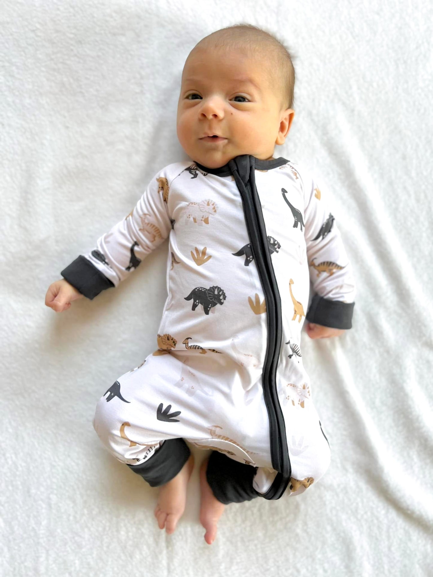 WHIMS•A•SAURUS FOOTIE